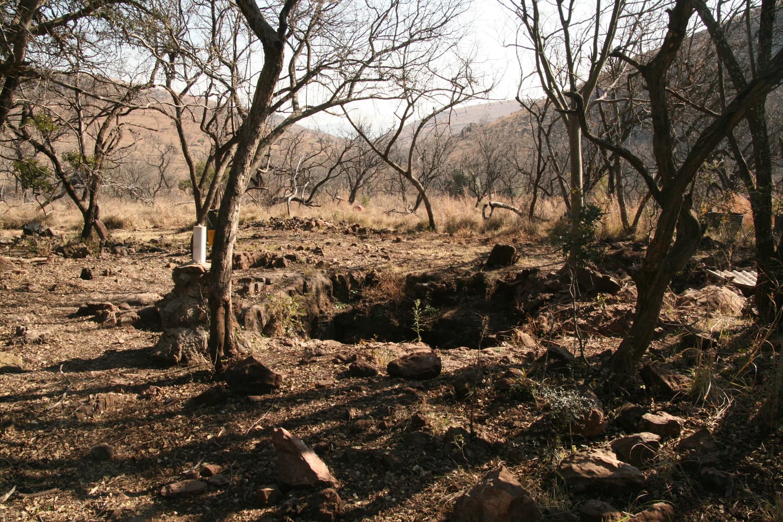 The Malapa fossil site in the Cradle of Humankind