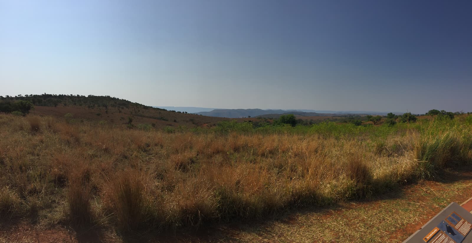 Winter grassland in the Cradle of Humankind